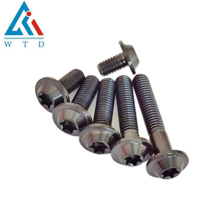 M6 10 15 20 25 30 35mm titanium bolts